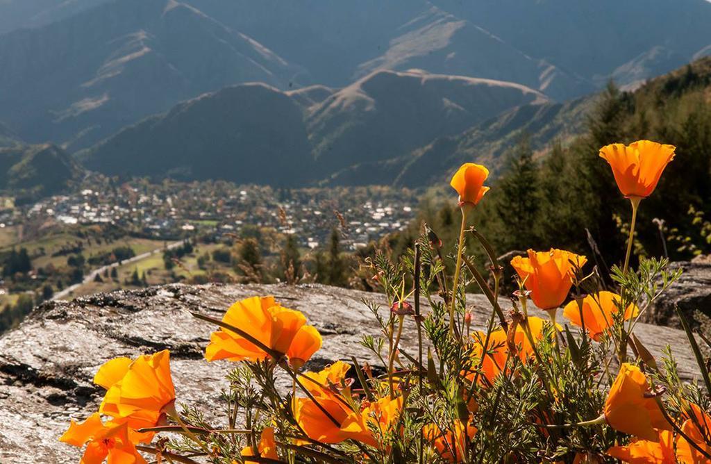 Creagh Cottage And Homestead Arrowtown Rom bilde